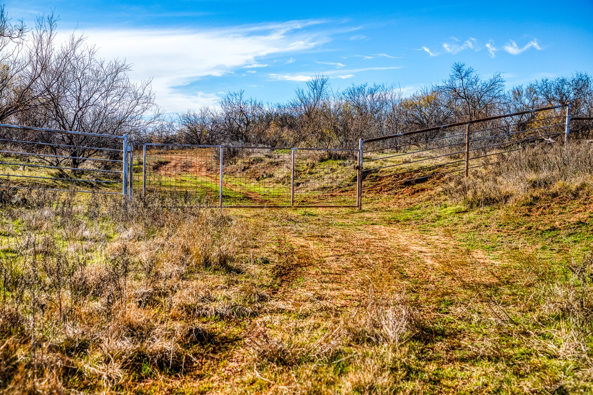Tbd Reevs Road Graham TX 76450