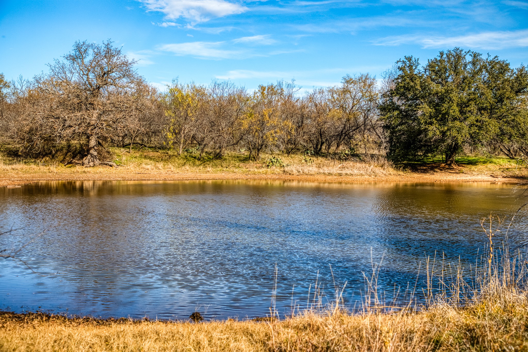 Tbd Reevs Road Graham TX 76450