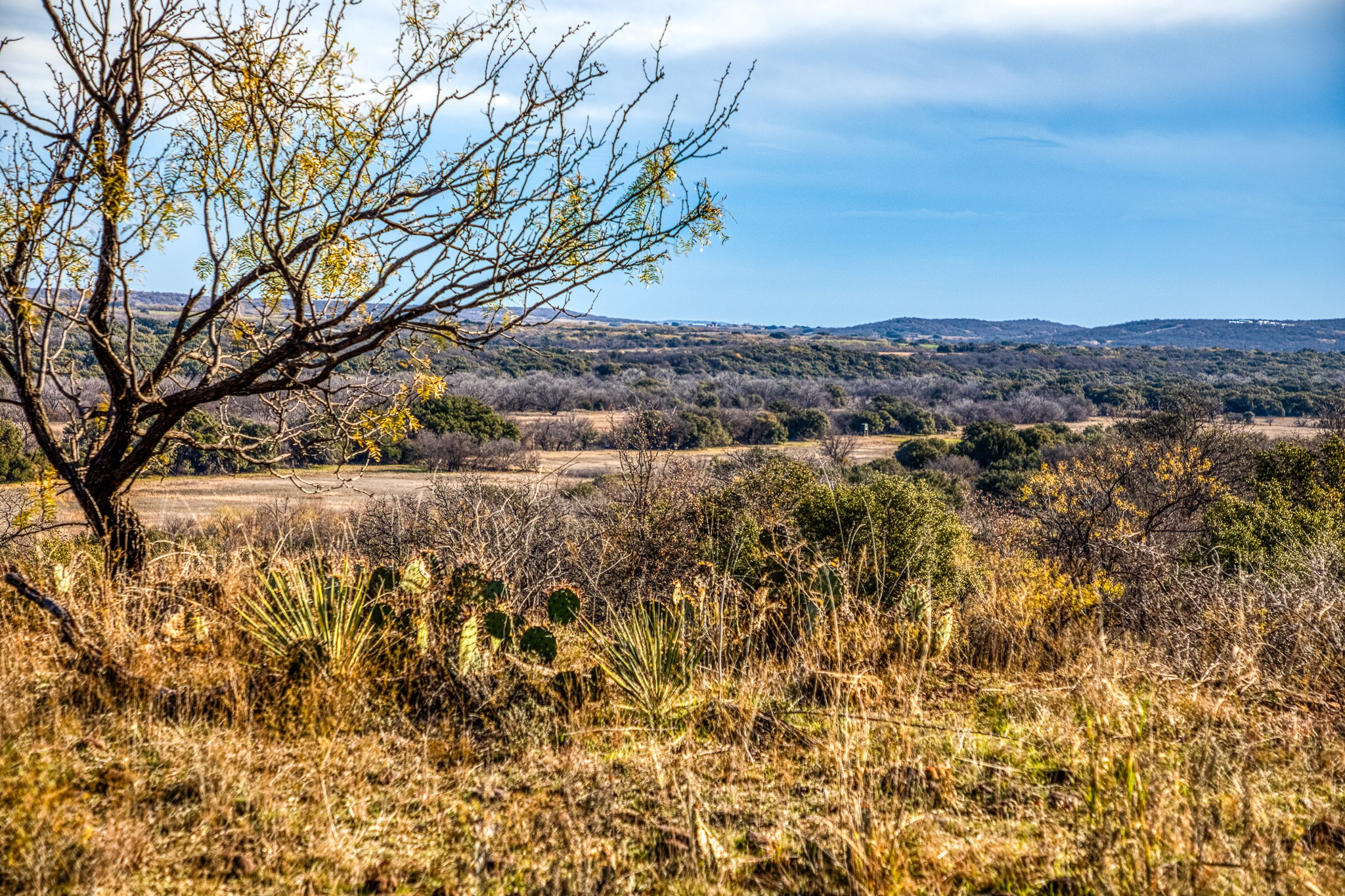 Tbd Reevs Road Graham TX 76450
