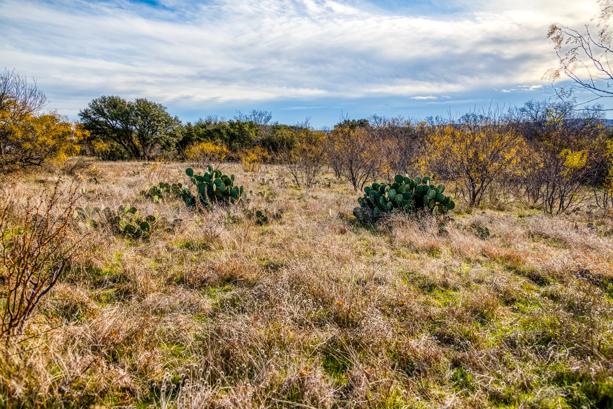 Tbd Reevs Road Graham TX 76450