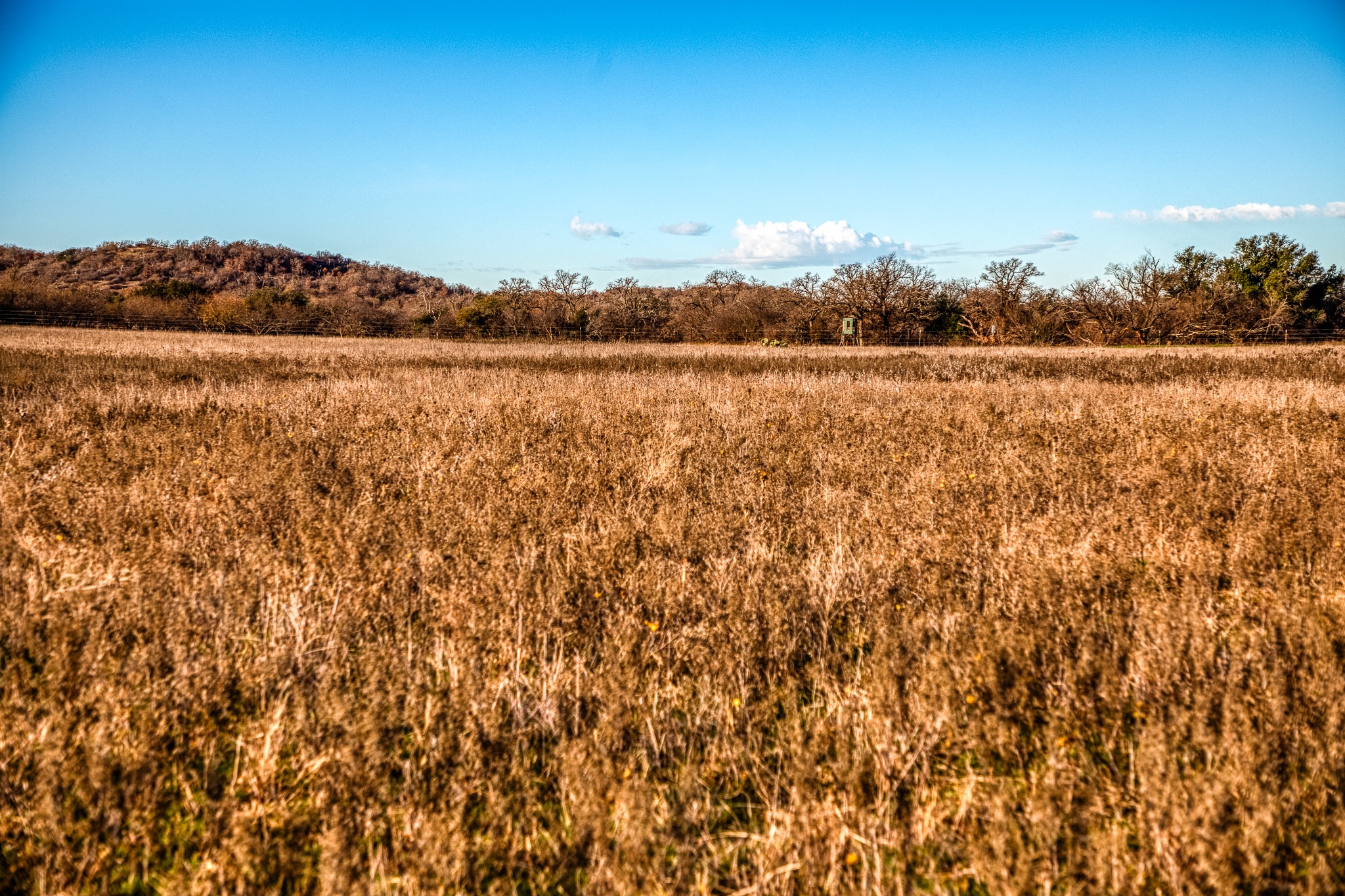 Tbd Reevs Road Graham TX 76450