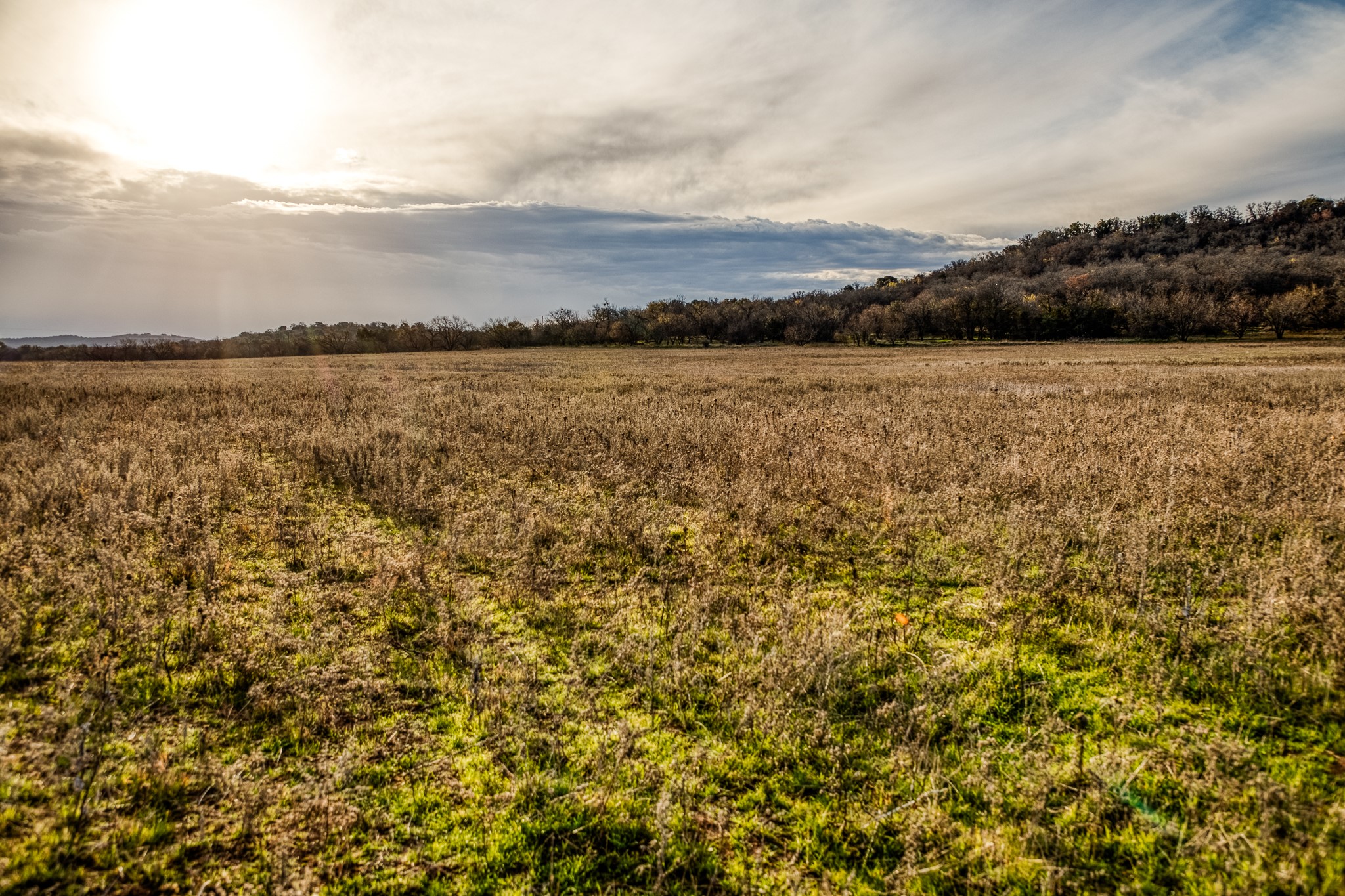 Tbd Reevs Road Graham TX 76450