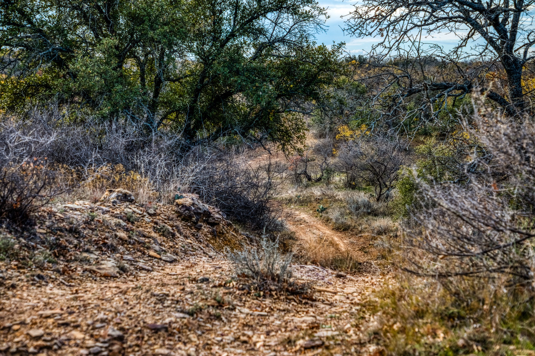 Tbd Reevs Road Graham TX 76450