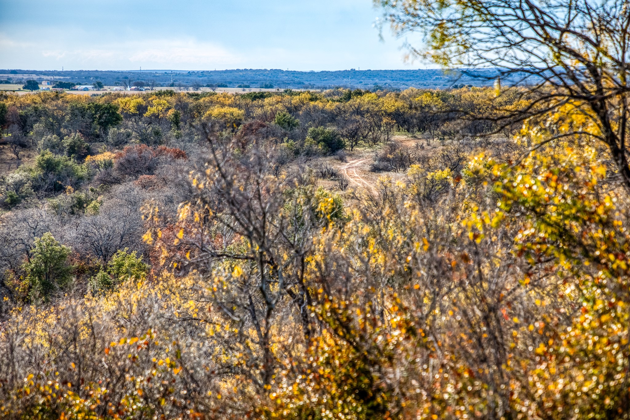 Tbd Reevs Road Graham TX 76450