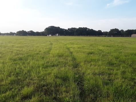 4113 W Line Road Whitesboro TX 76273