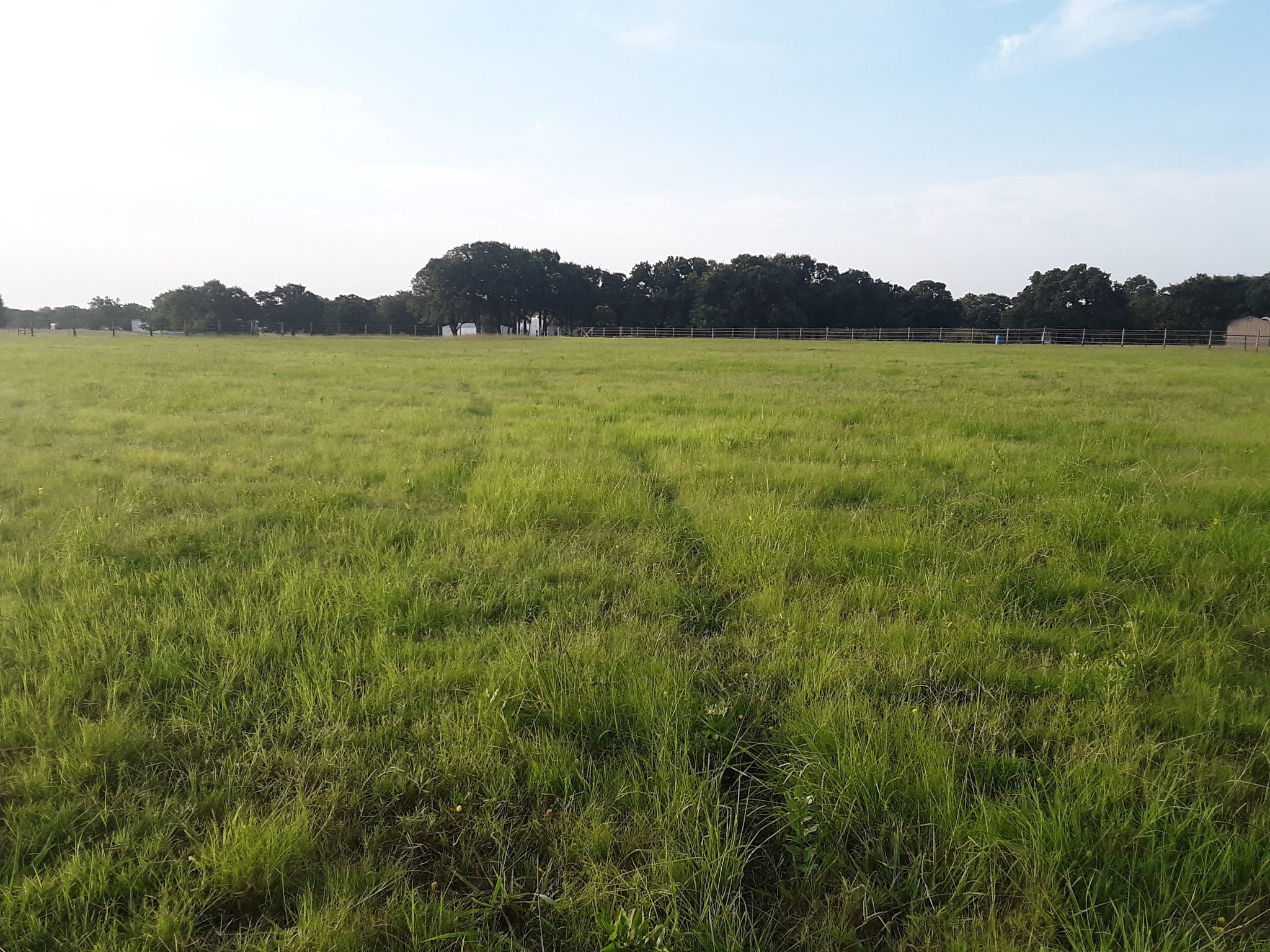 4113 W Line Road Whitesboro TX 76273