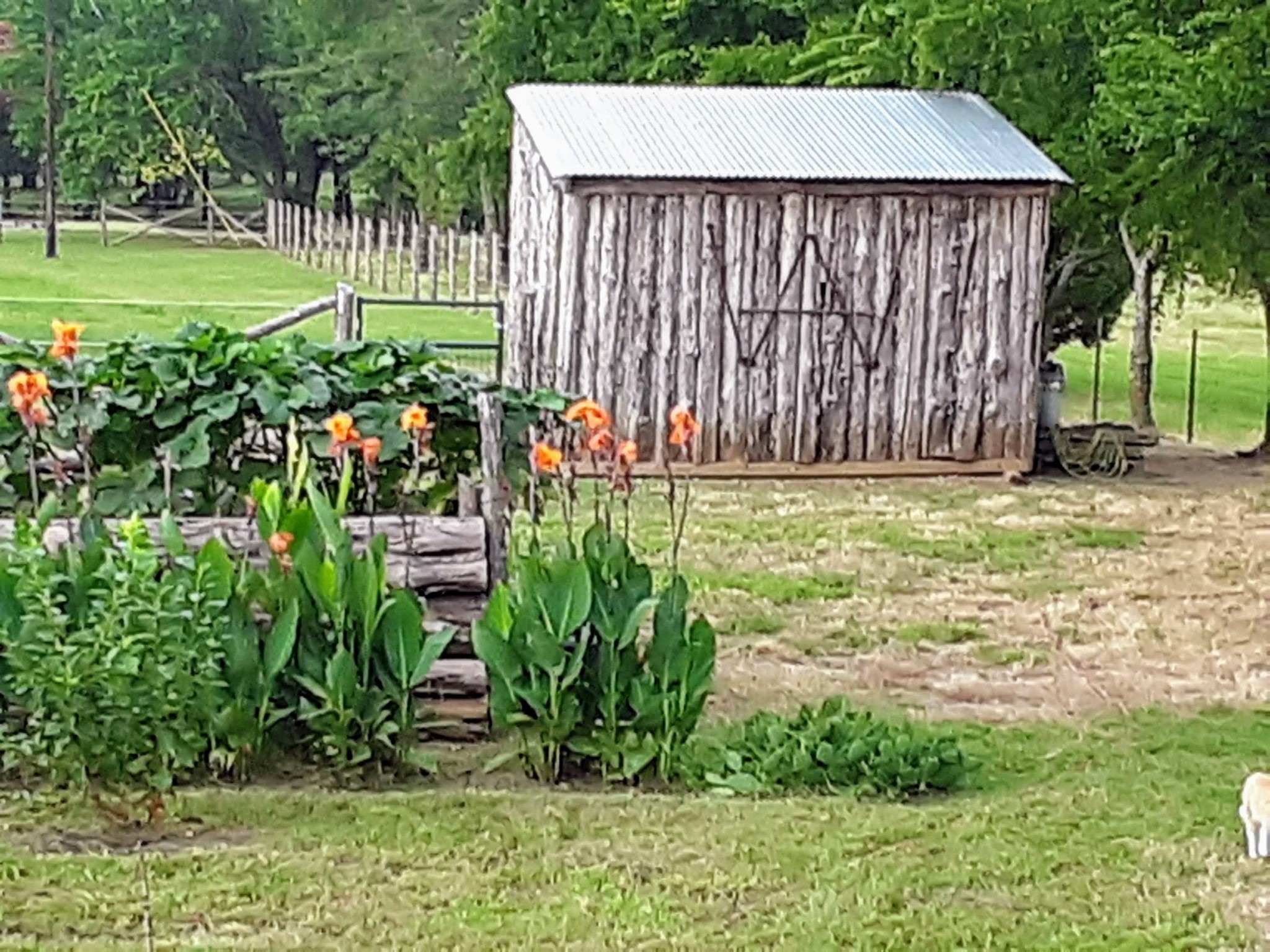 4113 W Line Road Whitesboro TX 76273
