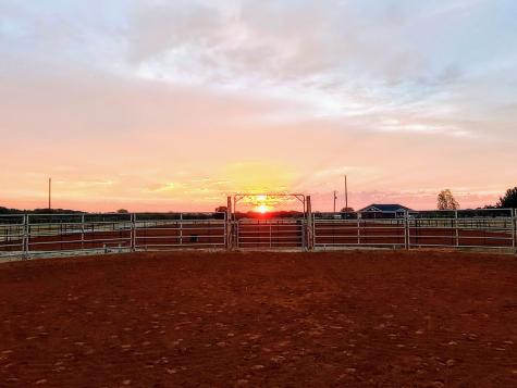4113 W Line Road Whitesboro TX 76273