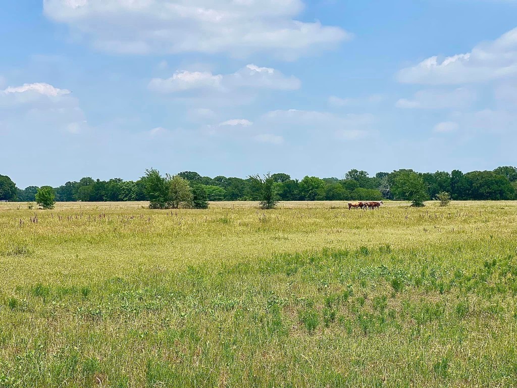 Tbd S Highway 34 Scurry TX 75158