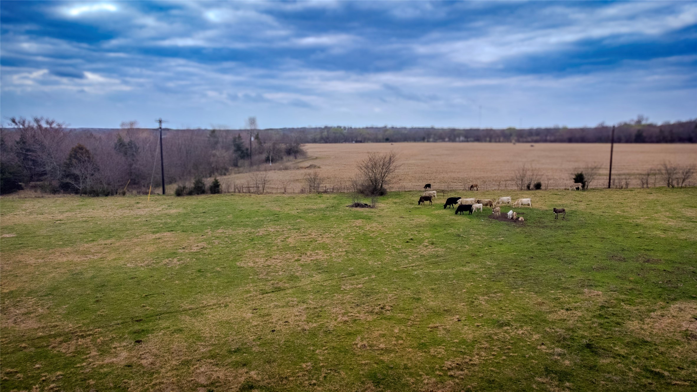 Tbd Rodgers Road Whitesboro TX 76273