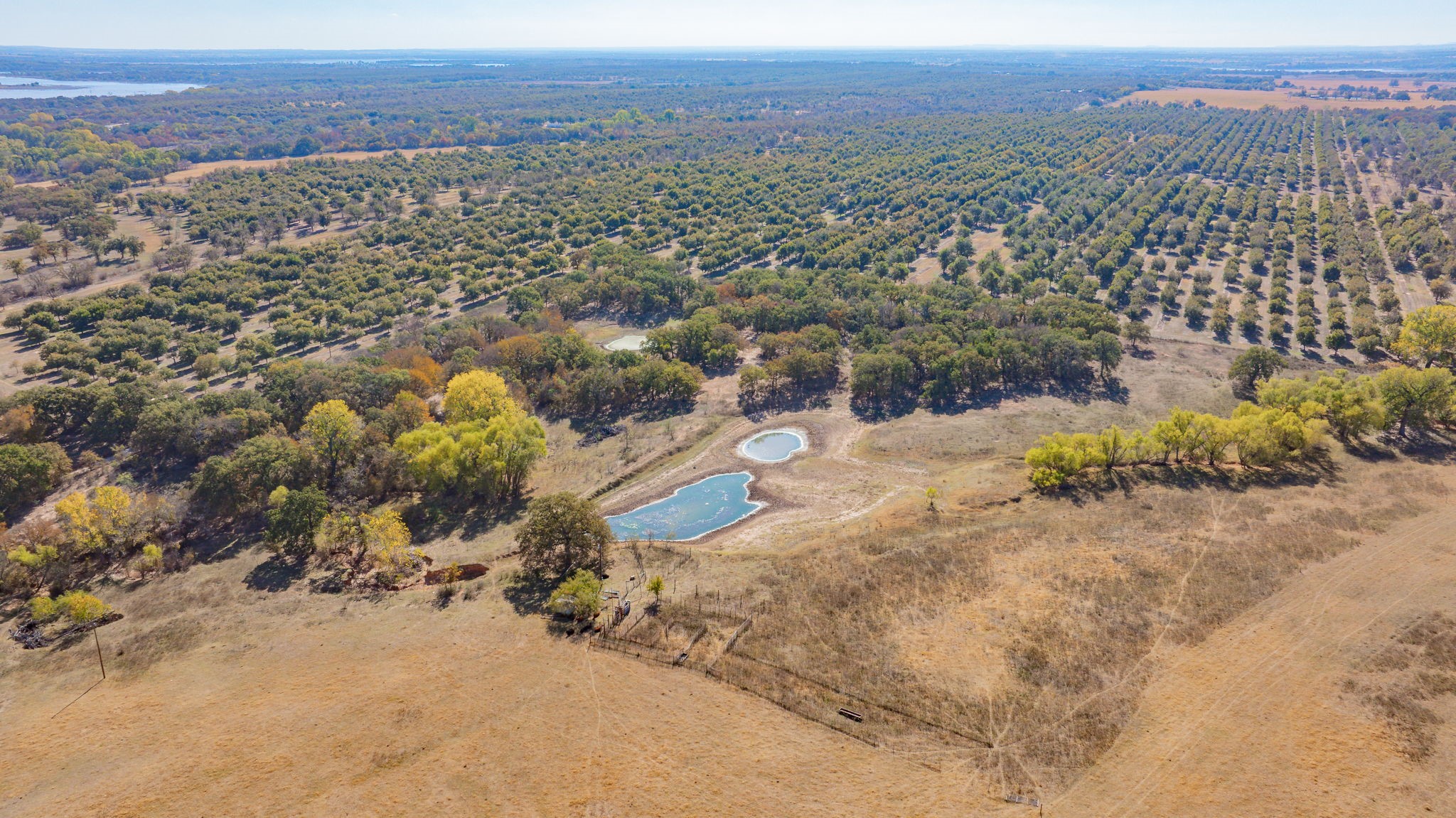 Tbd County Road 426 De Leon TX 76444