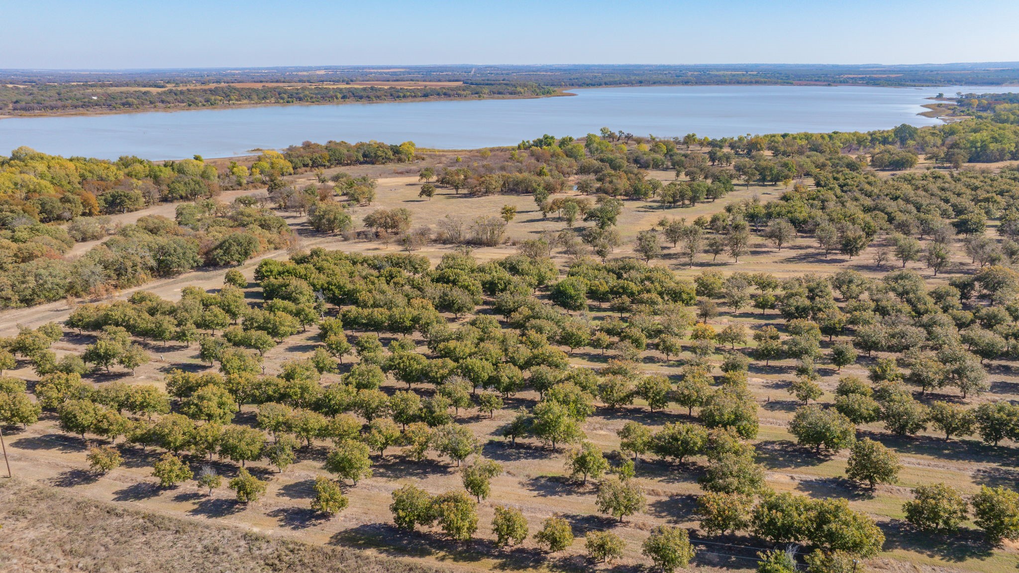 Tbd County Road 426 De Leon TX 76444