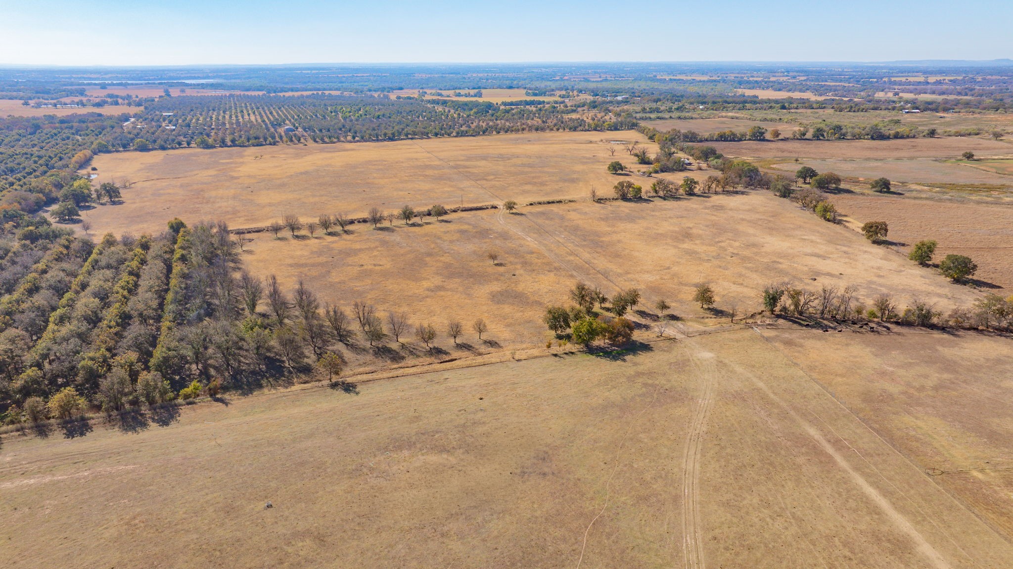 Tbd County Road 426 De Leon TX 76444