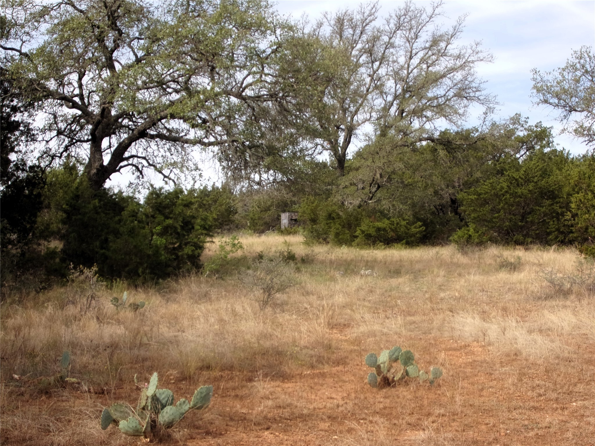 Unknow Cr 310 San Saba TX 76877