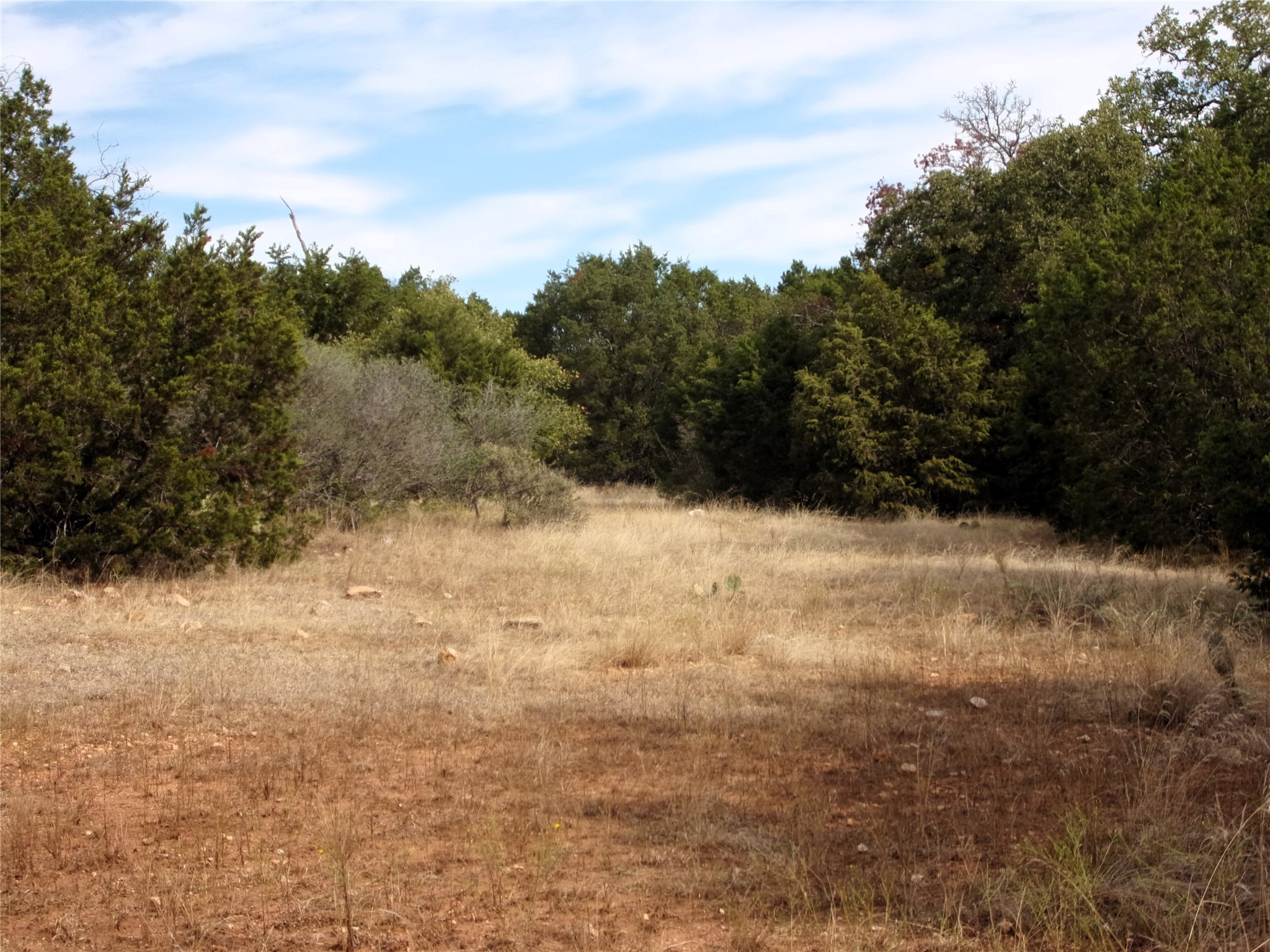 Unknow Cr 310 San Saba TX 76877