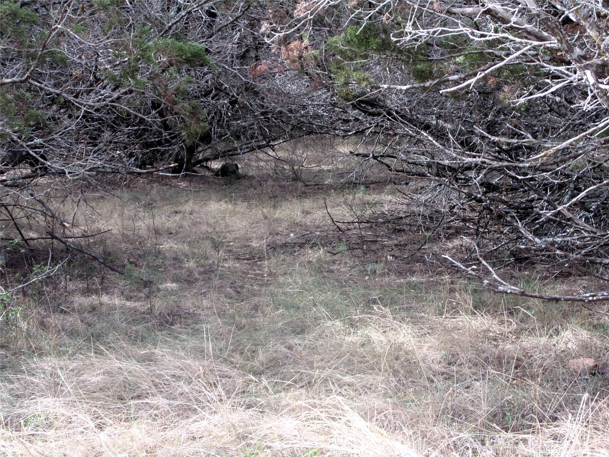 Unknow Cr 310 San Saba TX 76877