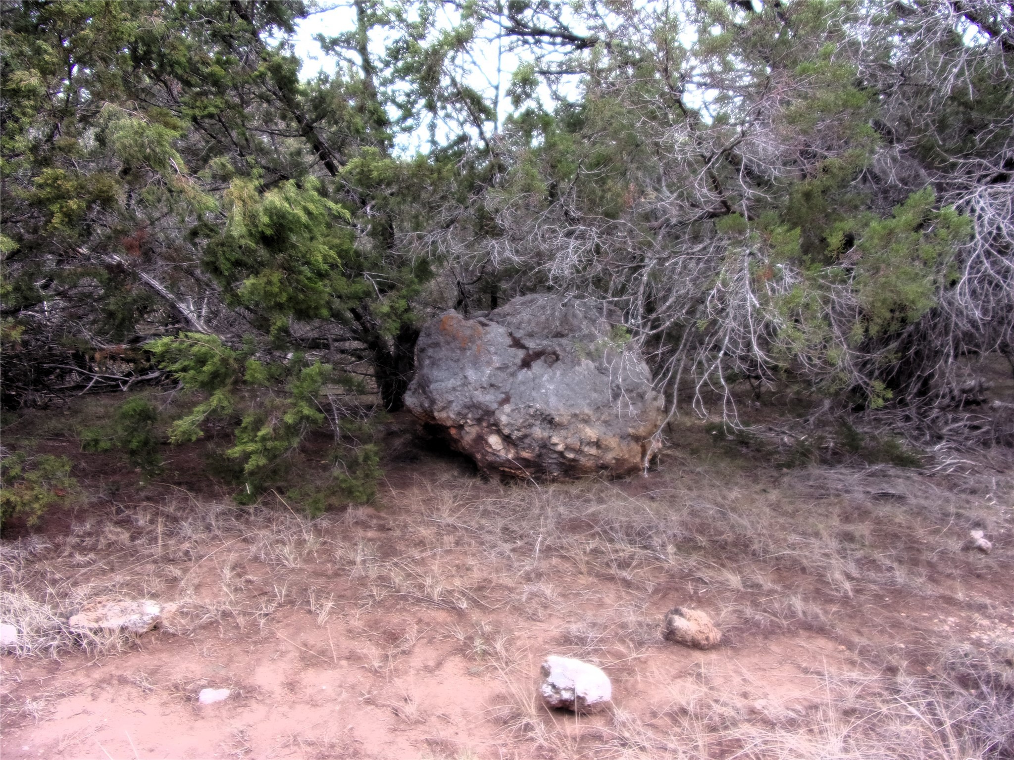 Unknow Cr 310 San Saba TX 76877