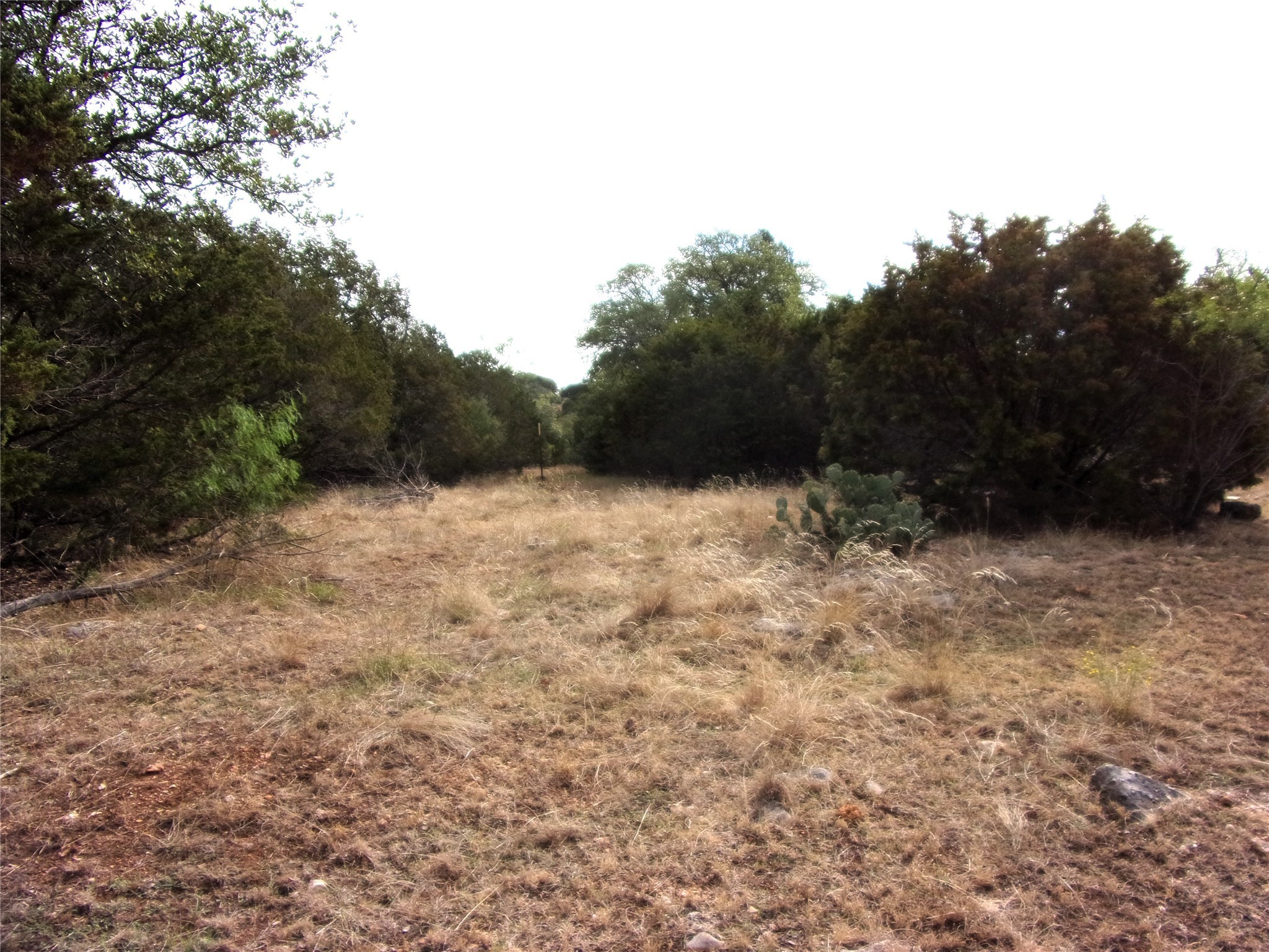 Unknow Cr 310 San Saba TX 76877