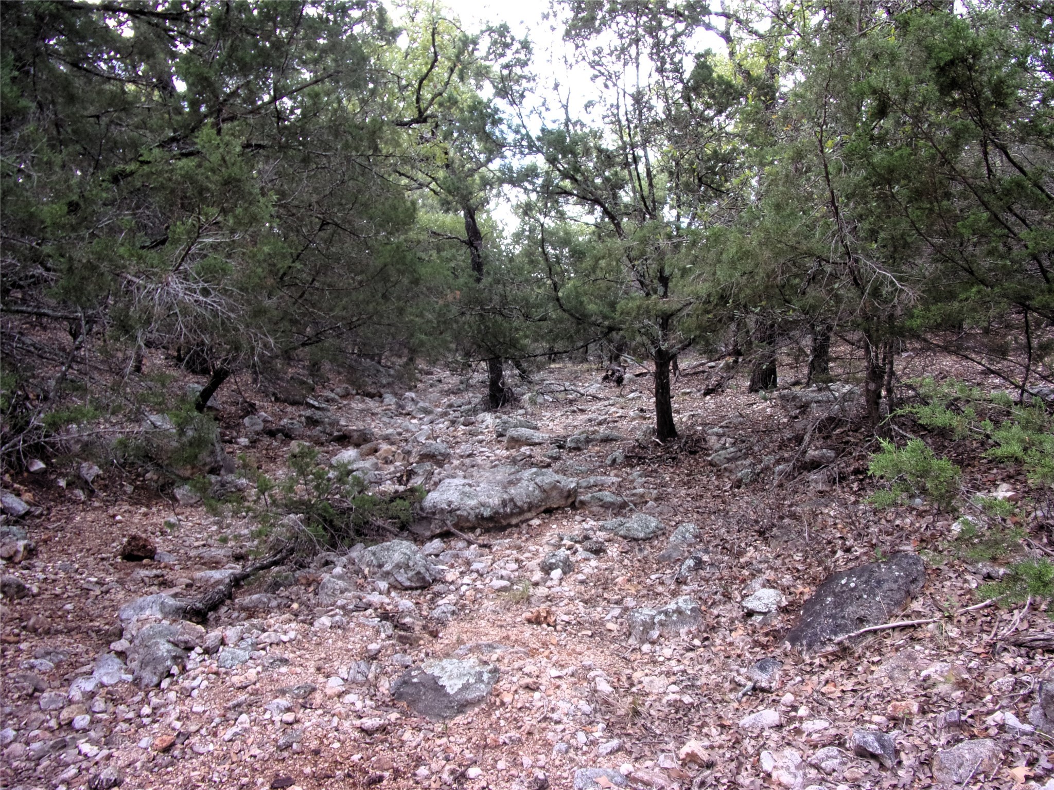 Unknow Cr 310 San Saba TX 76877