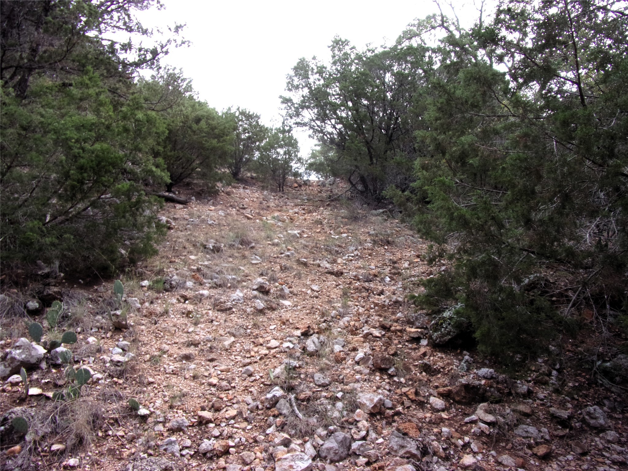 Unknow Cr 310 San Saba TX 76877