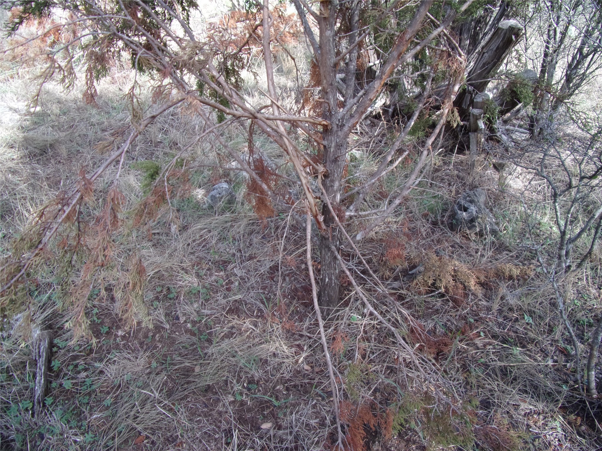 Unknow Cr 310 San Saba TX 76877