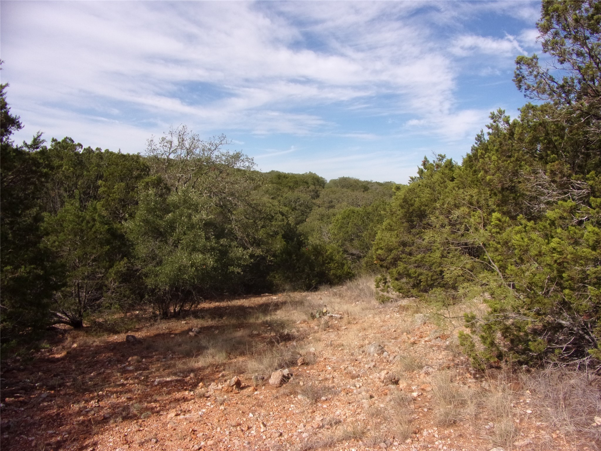 Unknow Cr 310 San Saba TX 76877