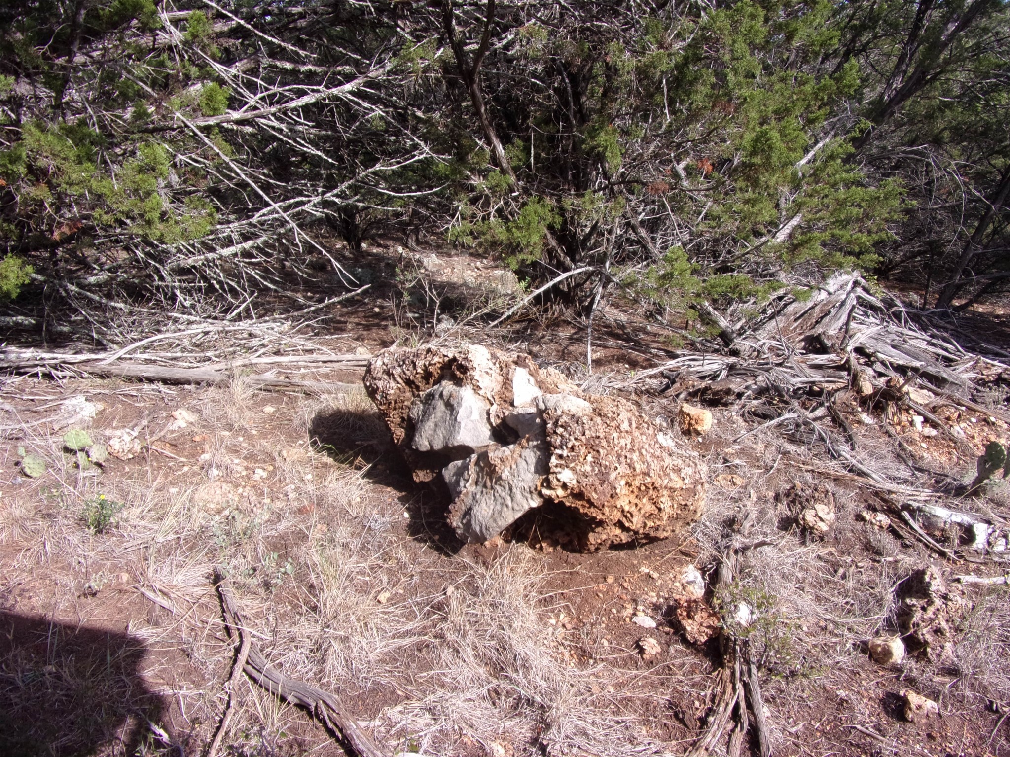 Unknow Cr 310 San Saba TX 76877