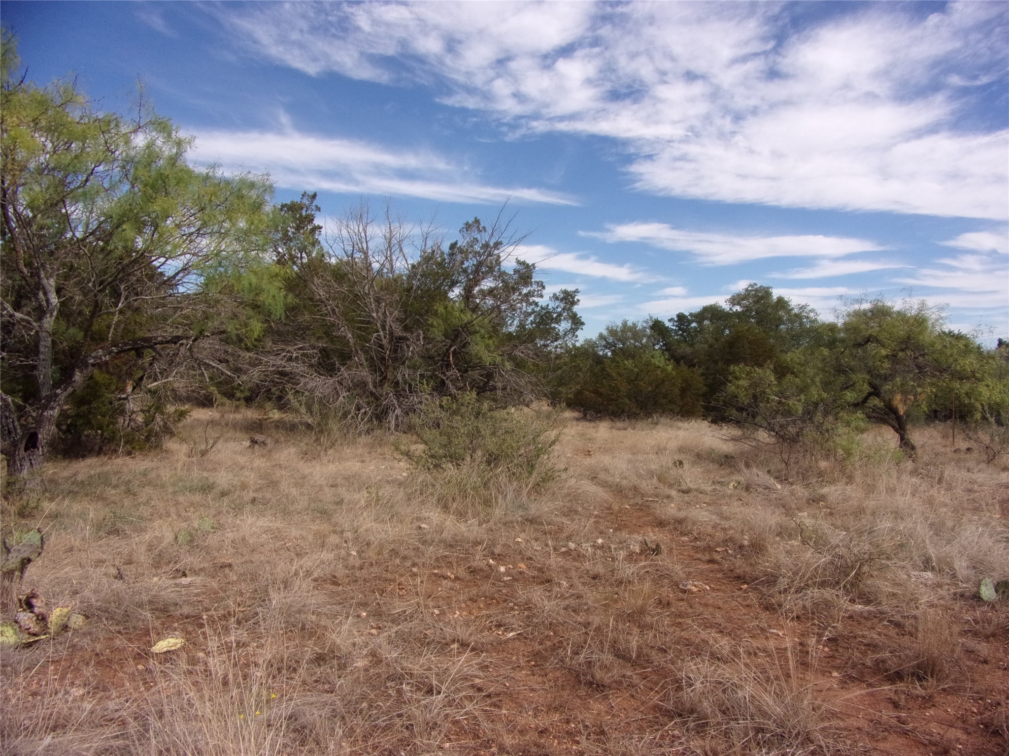 Unknow Cr 310 San Saba TX 76877