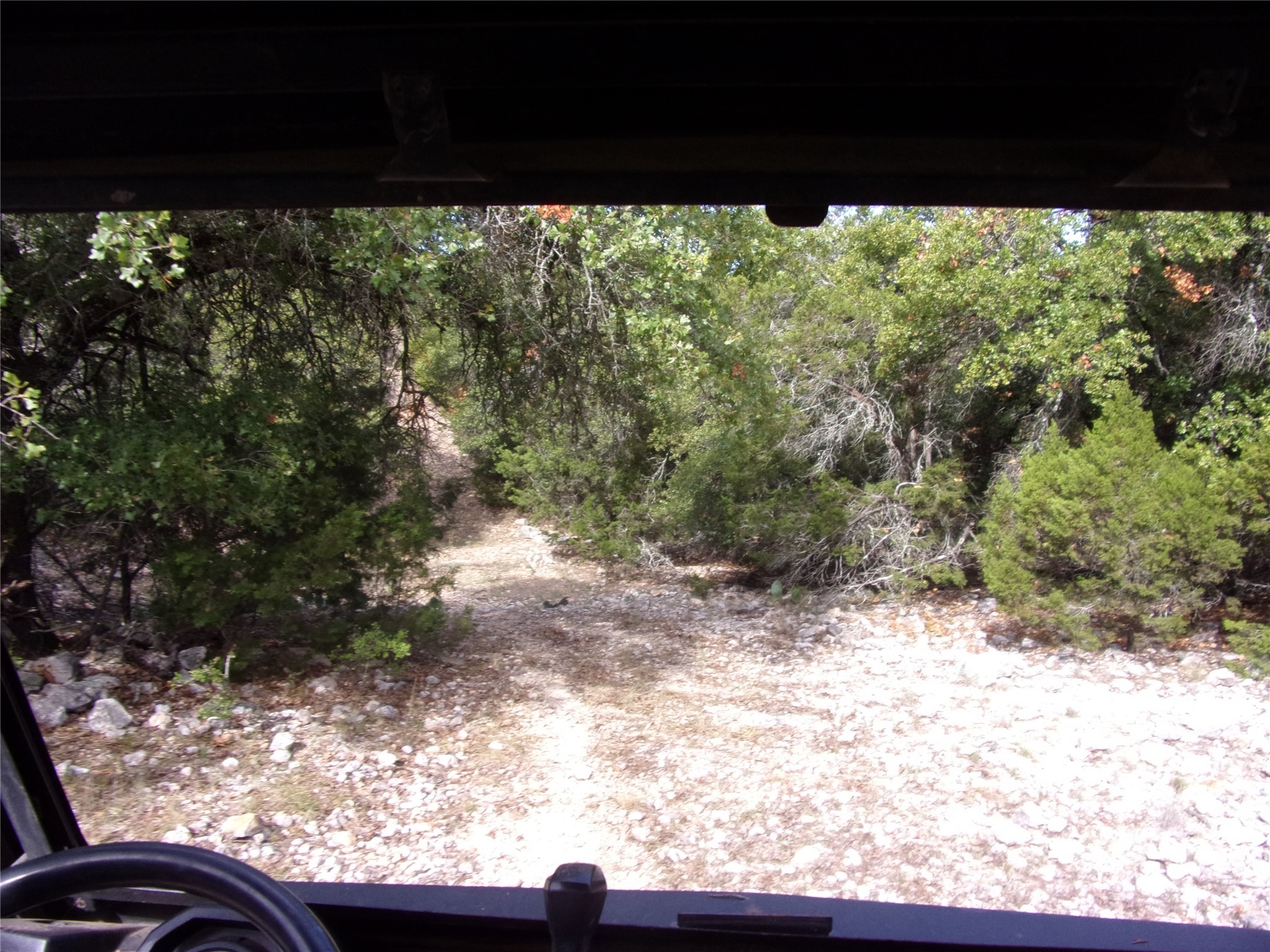 Unknow Cr 310 San Saba TX 76877