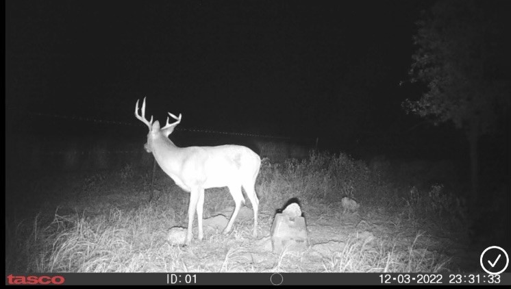 349 Hcr 1314 Hillsboro TX 76645