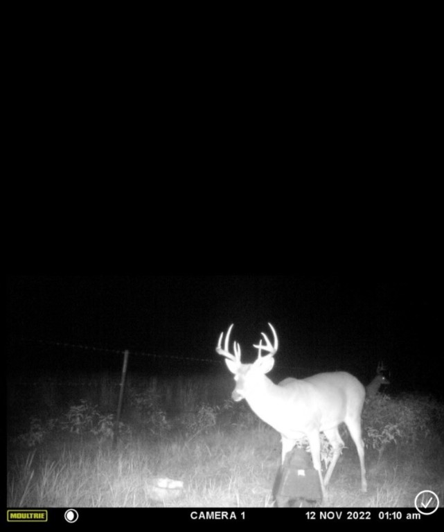 349 Hcr 1314 Hillsboro TX 76645