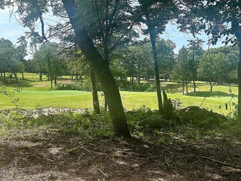 32C Coyote Springs Court Gordonville TX 76245