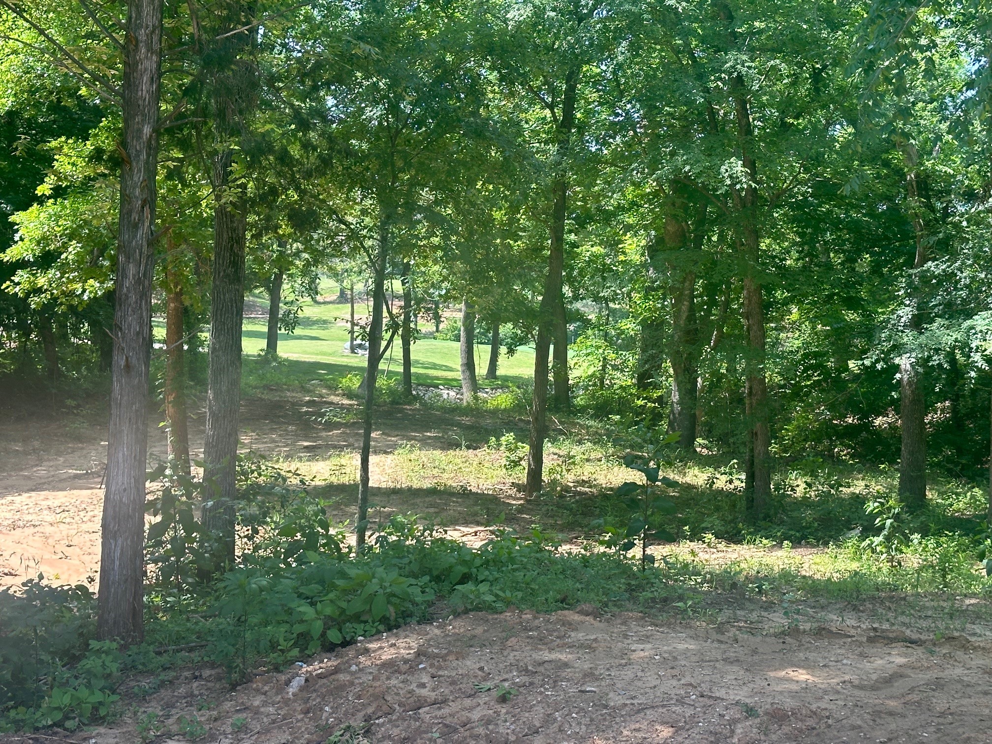 32C Coyote Springs Court Gordonville TX 76245