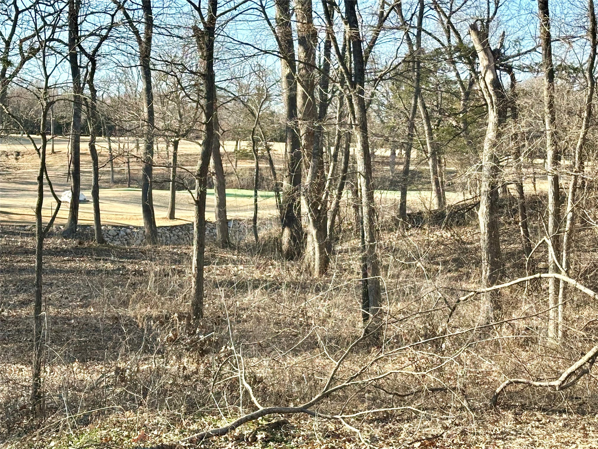 32C Coyote Springs Court Gordonville TX 76245