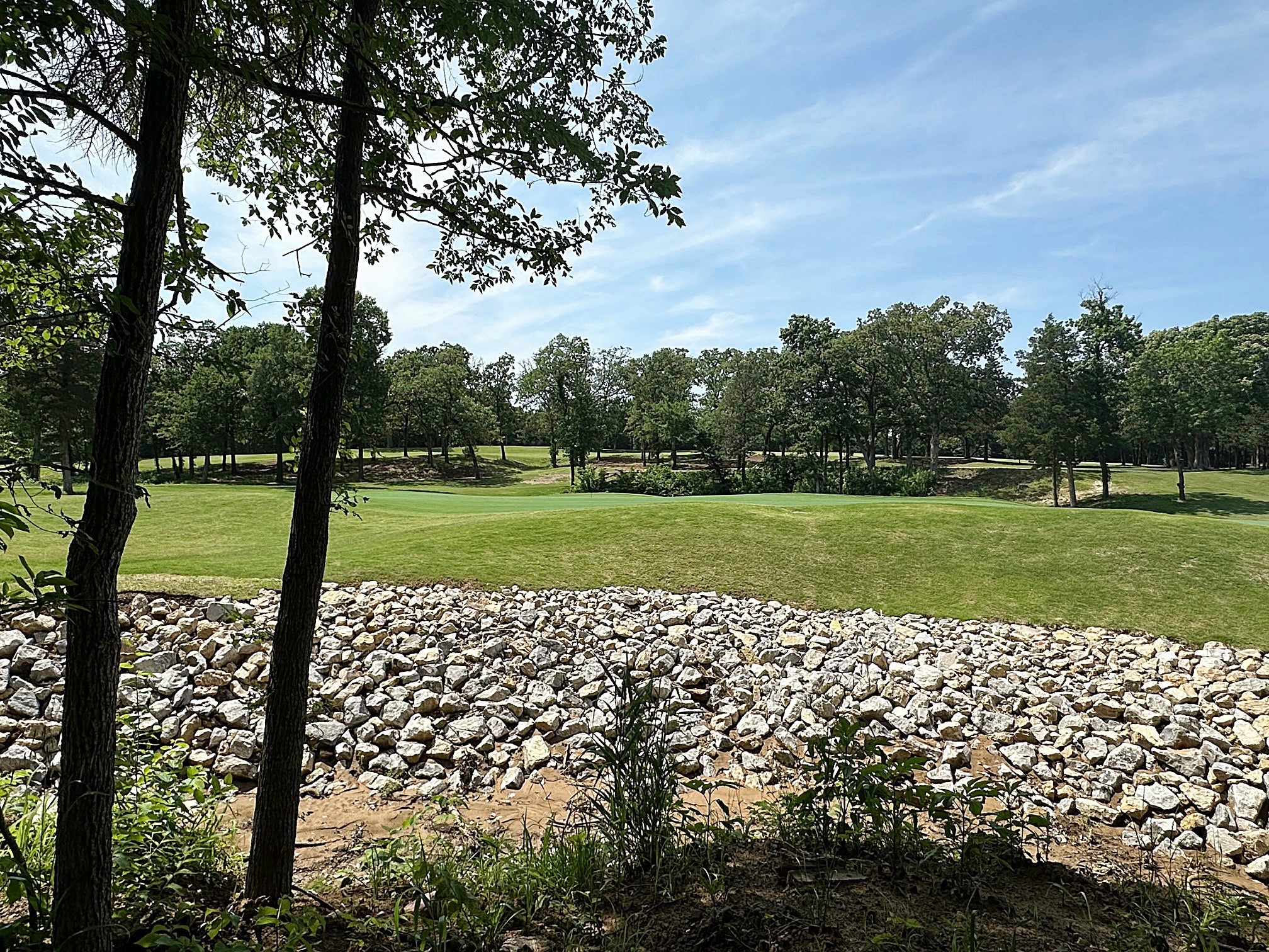 32C Coyote Springs Court Gordonville TX 76245