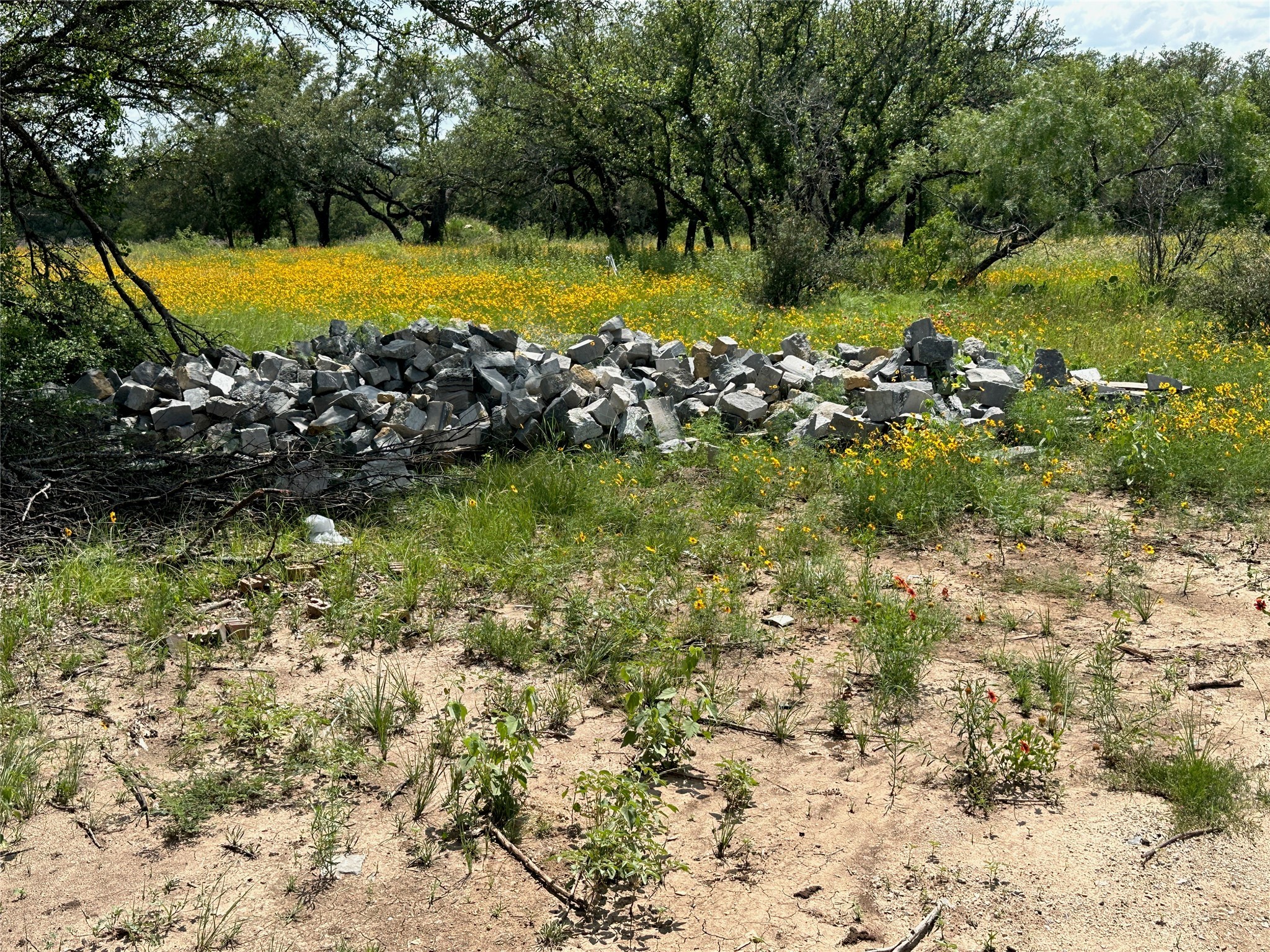 TBD1018 Lake Breeze Drive Brownwood TX 76801