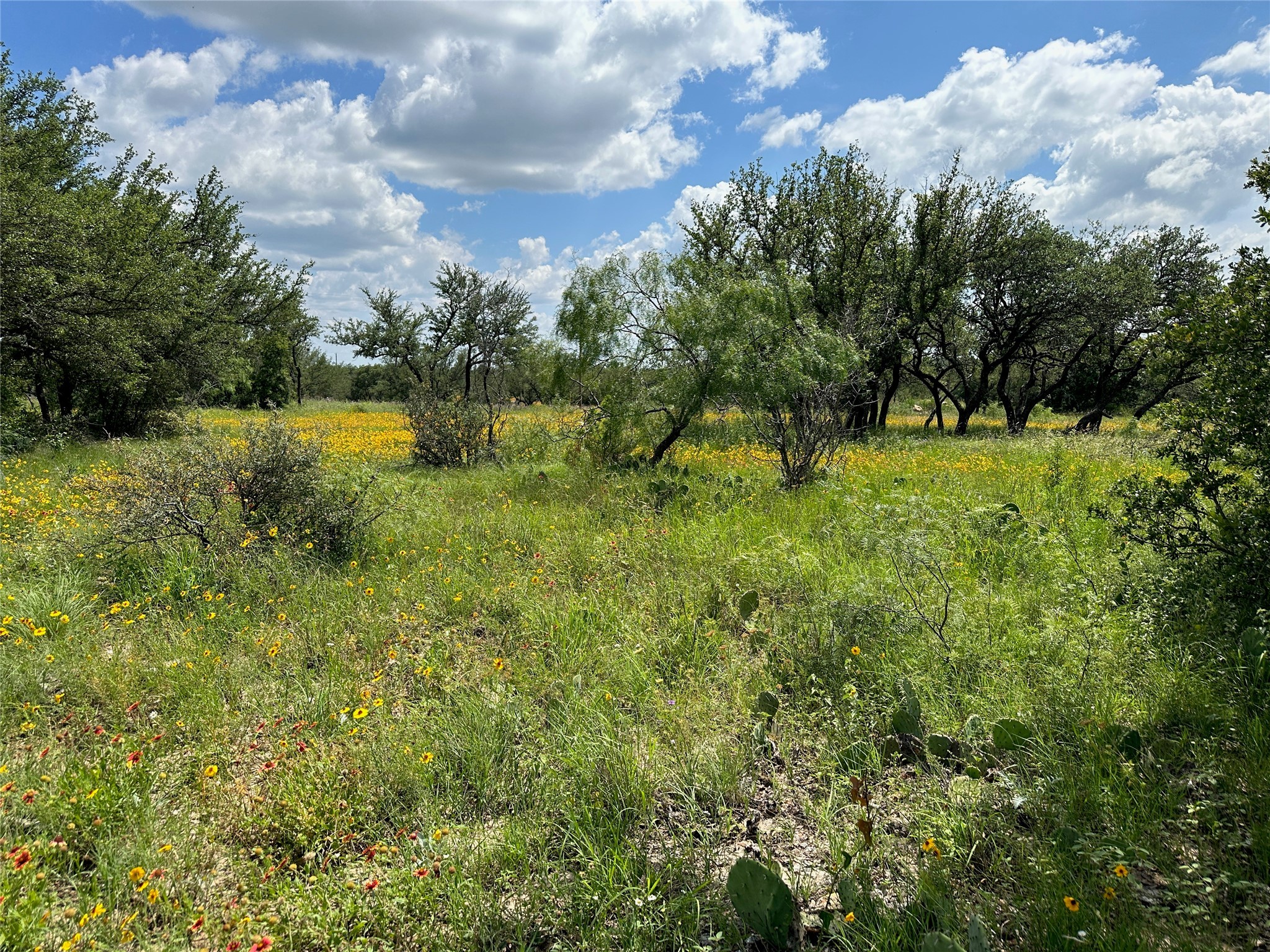 TBD1018 Lake Breeze Drive Brownwood TX 76801