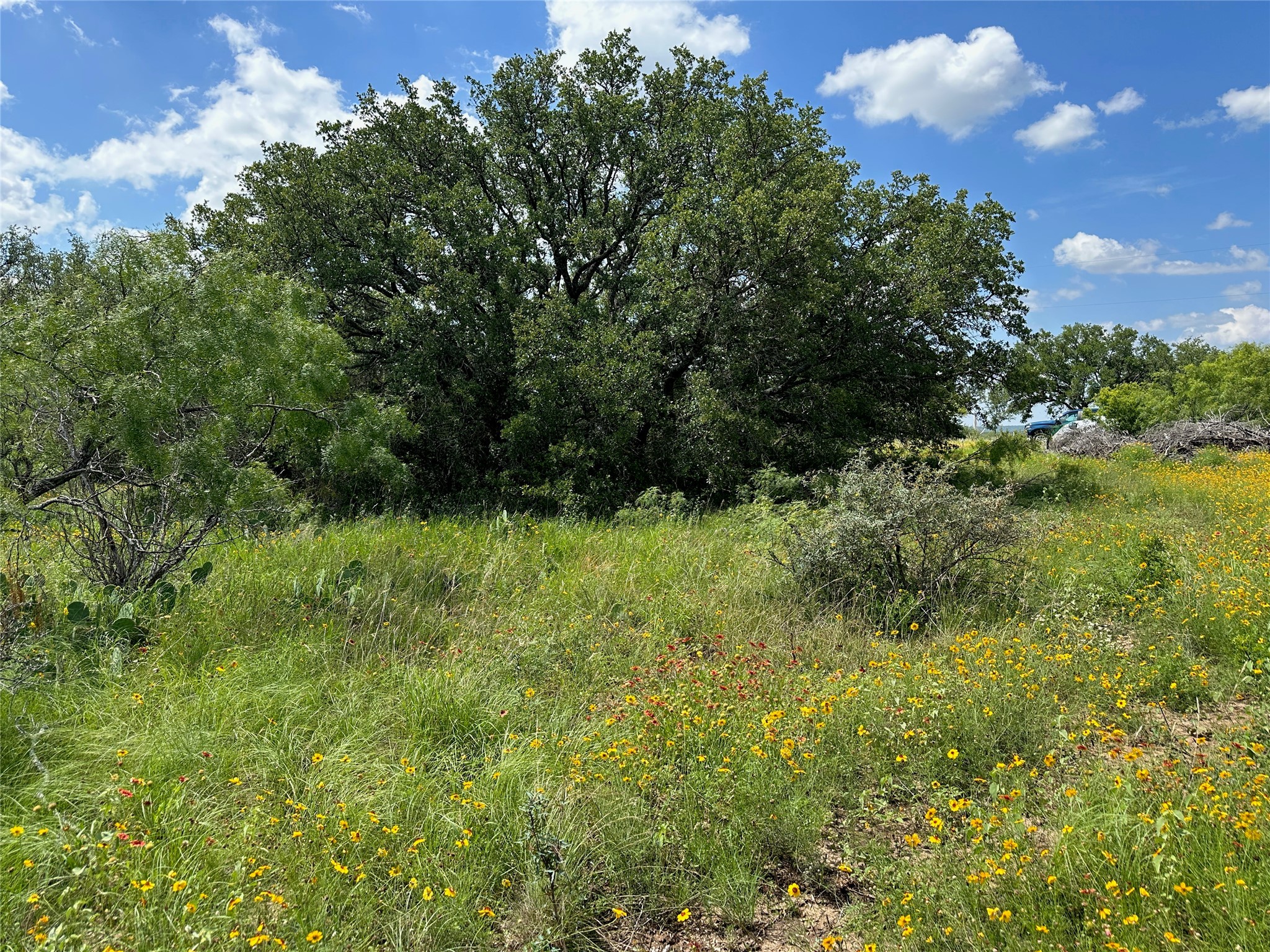 TBD1018 Lake Breeze Drive Brownwood TX 76801