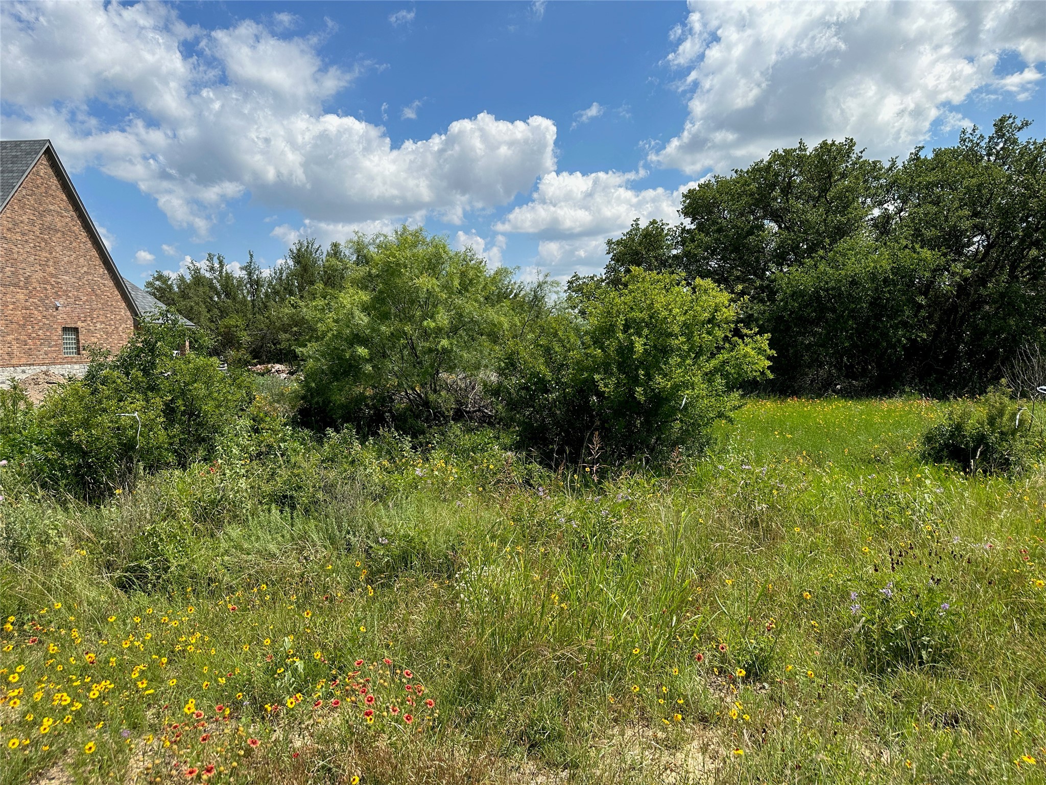 TBD1018 Lake Breeze Drive Brownwood TX 76801