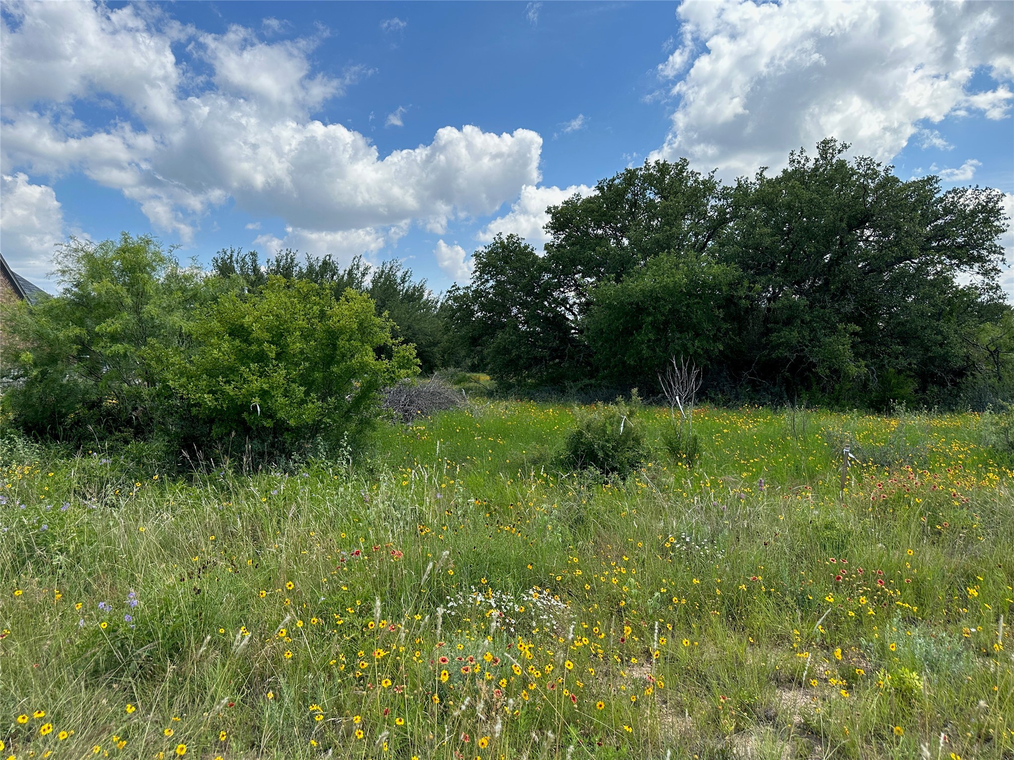 TBD1018 Lake Breeze Drive Brownwood TX 76801