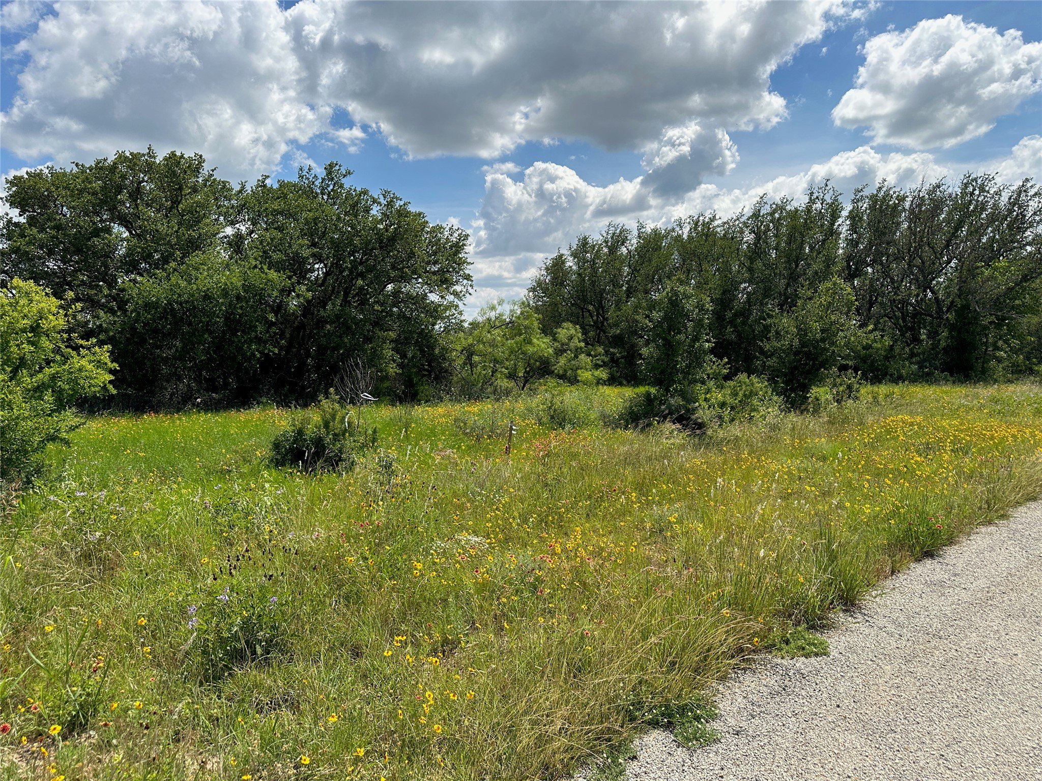 TBD1018 Lake Breeze Drive Brownwood TX 76801