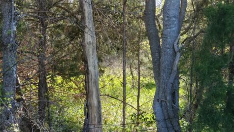 13700 Gholson Road Gholson TX 76705