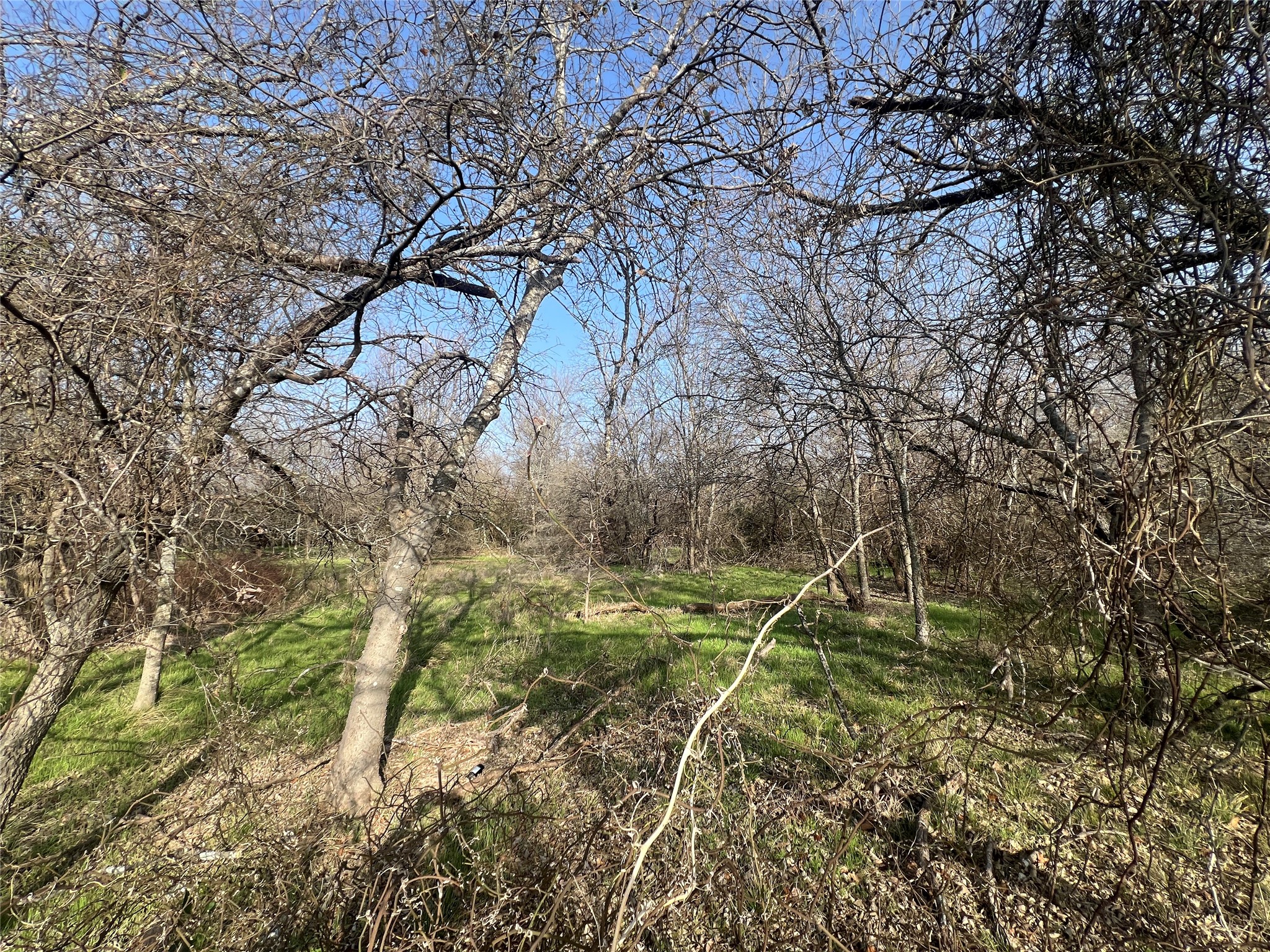 13700 Gholson Road Gholson TX 76705