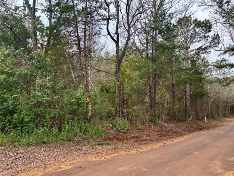 4451 County Road 3206 W Mount Enterprise TX 75681