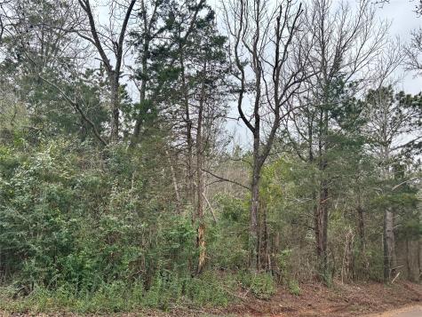 4451 County Road 3206 W Mount Enterprise TX 75681