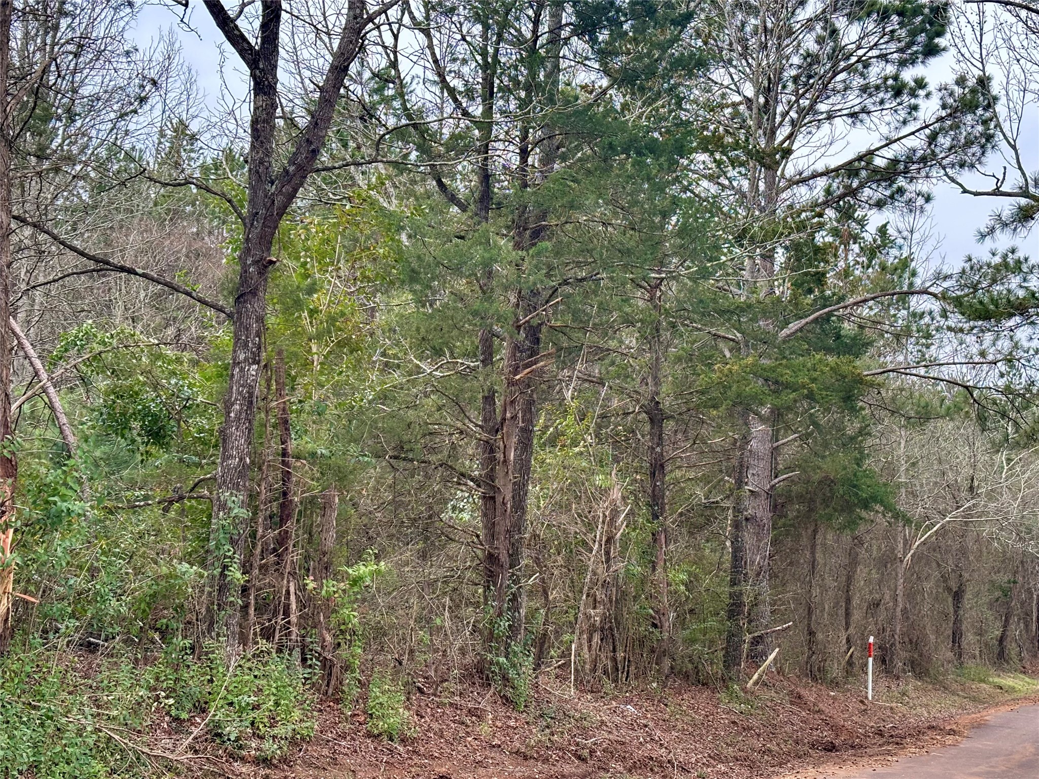 4451 County Road 3206 W Mount Enterprise TX 75681