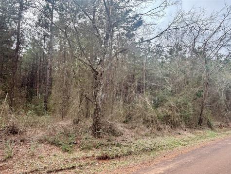 4451 County Road 3206 W Mount Enterprise TX 75681