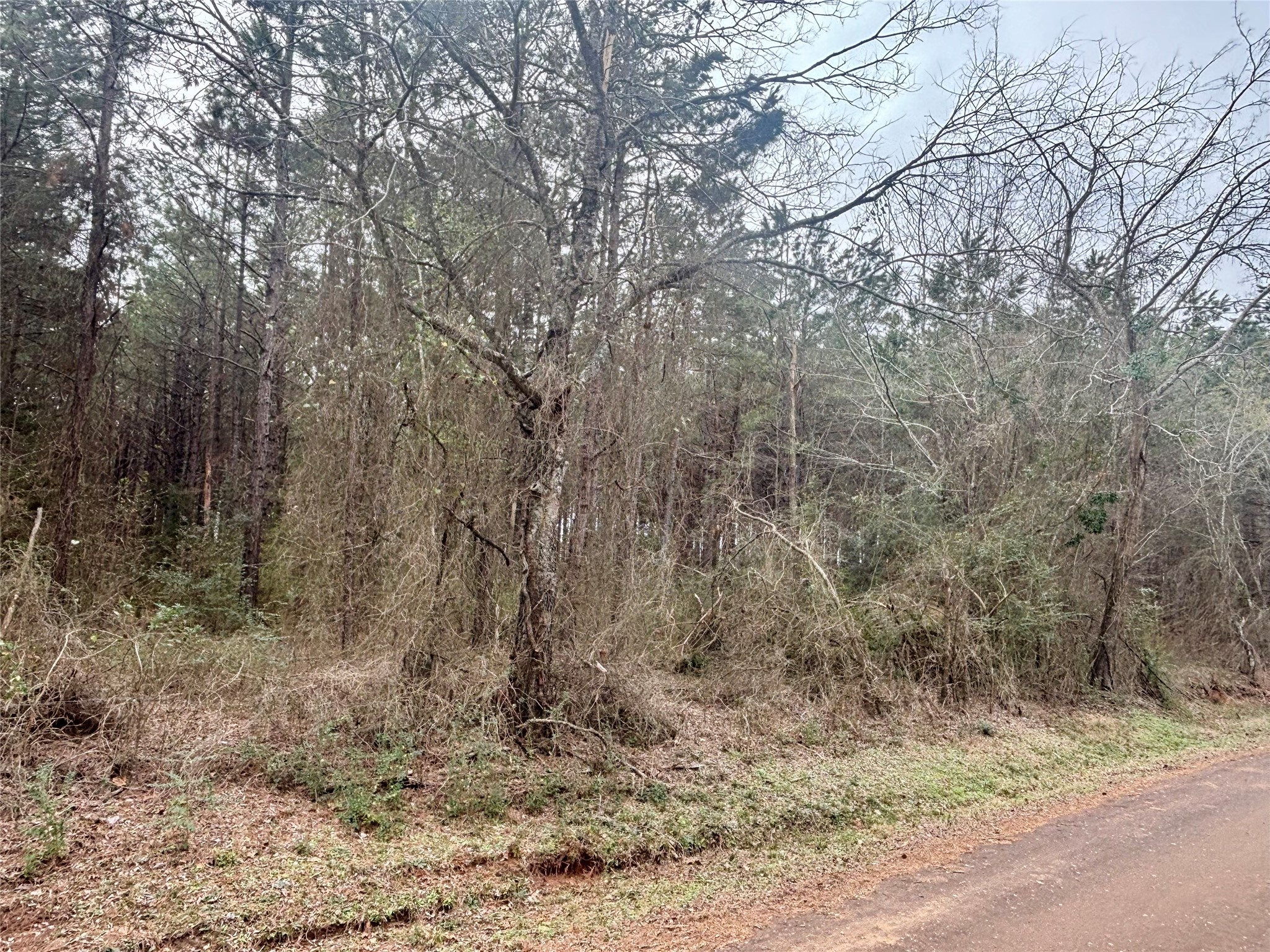 4451 County Road 3206 W Mount Enterprise TX 75681