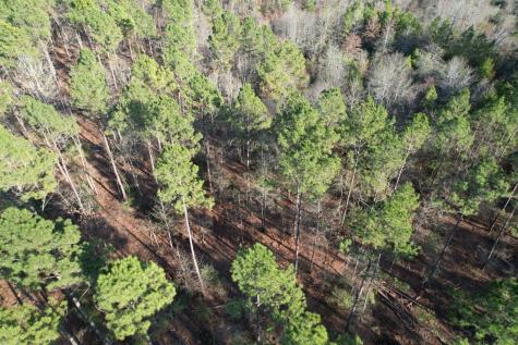 TBD-E County Road 216 Beckville TX 75631