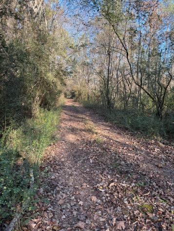 TBD-E County Road 216 Beckville TX 75631